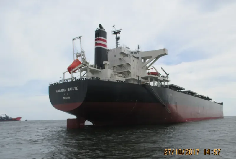 ARCADIA SALUTE Bulk Carrier IMO 9675626