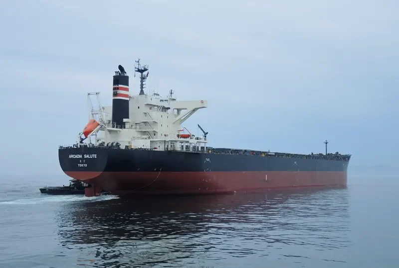 ARCADIA SALUTE Bulk Carrier IMO 9675626 photo 2