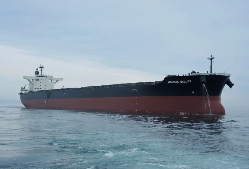 ARCADIA SALUTE Bulk Carrier IMO 9675626 photo 3