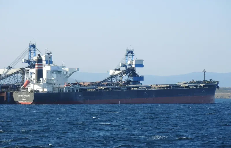 ARCADIA SALUTE Bulk Carrier IMO 9675626 photo 4