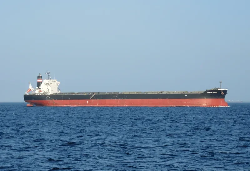 ARCADIA SALUTE Bulk Carrier IMO 9675626 photo 5