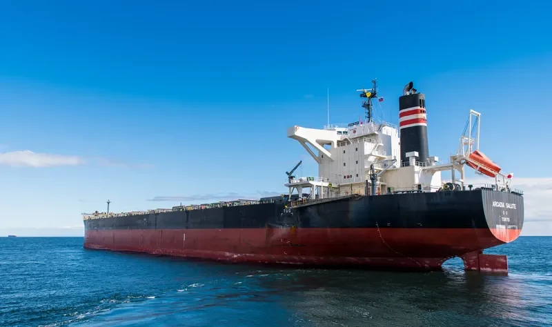ARCADIA SALUTE Bulk Carrier IMO 9675626 photo 6