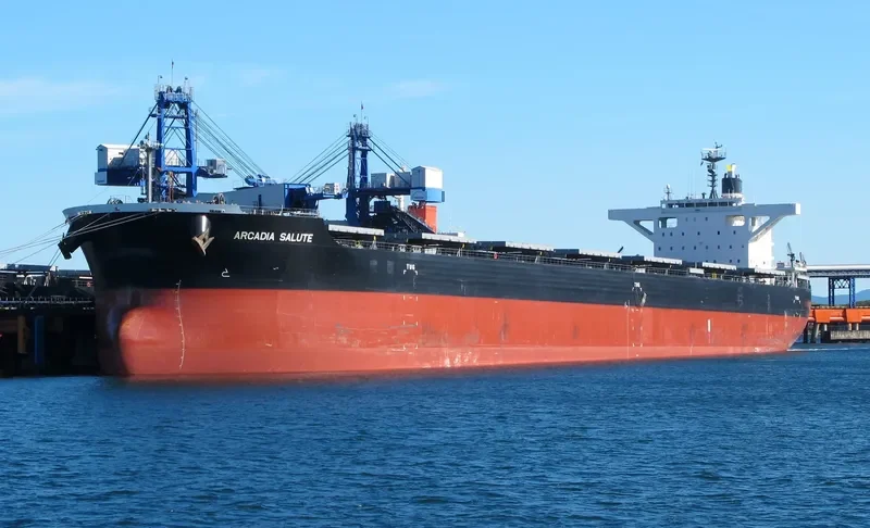 ARCADIA SALUTE Bulk Carrier IMO 9675626 photo 7