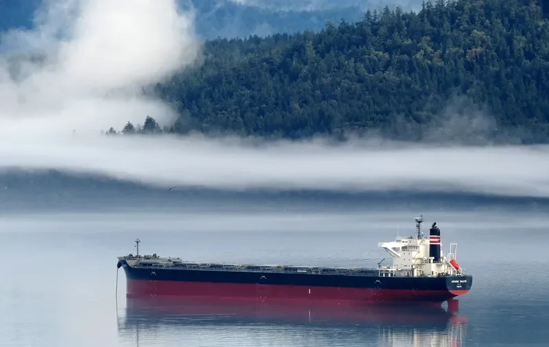 ARCADIA SALUTE Bulk Carrier IMO 9675626 photo 10