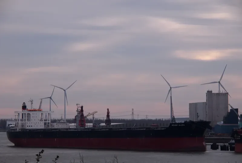 MOUNT ULURU Bulk Carrier IMO 9675638 photo 2