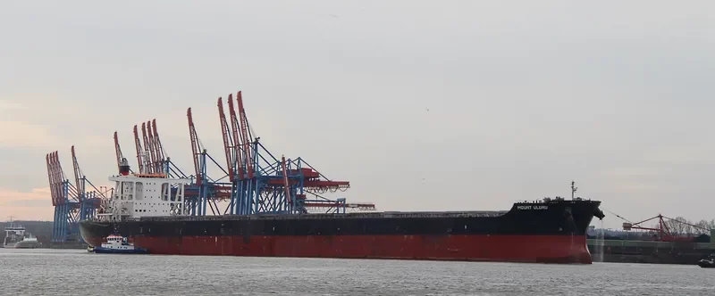 MOUNT ULURU Bulk Carrier IMO 9675638 photo 5