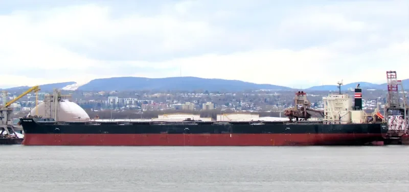 FRONTIER ASUKA Bulk Carrier IMO 9675640