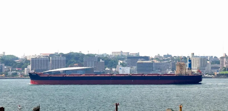 NSU OBELISK Bulk Carrier IMO 9675664 photo 4