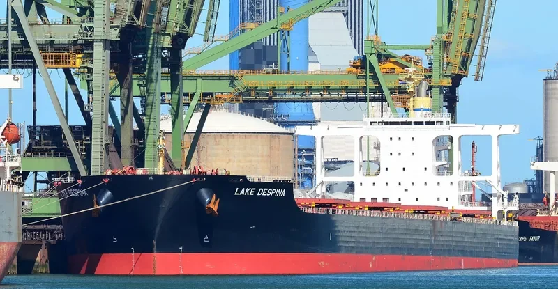LAKE DESPINA Bulk Carrier IMO 9675676