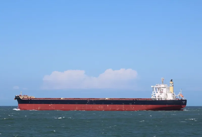LAKE DESPINA Bulk Carrier IMO 9675676 photo 2