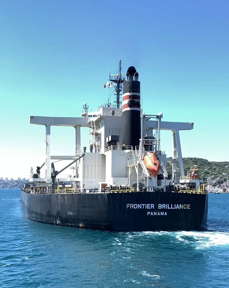 FRONTIER BRILLIANCE Bulk Carrier IMO 9675688 photo 7