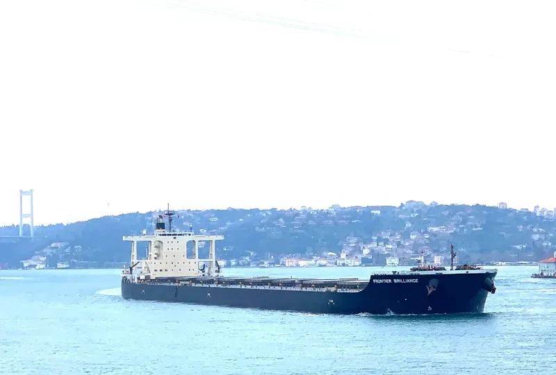 FRONTIER BRILLIANCE Bulk Carrier IMO 9675688 photo 8
