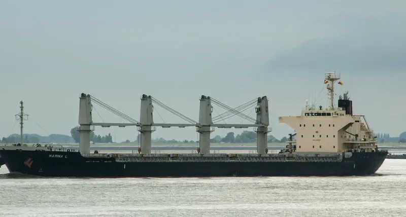 MARINA L Bulk Carrier IMO 9675705 photo 2