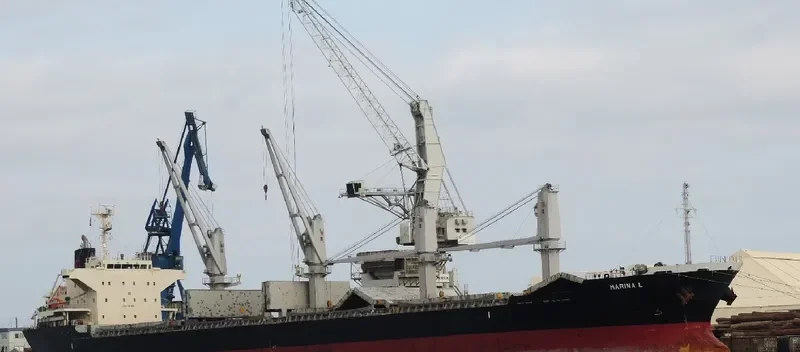 MARINA L Bulk Carrier IMO 9675705 photo 3