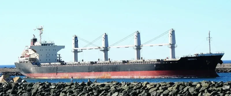 MARINA L Bulk Carrier IMO 9675705 photo 4