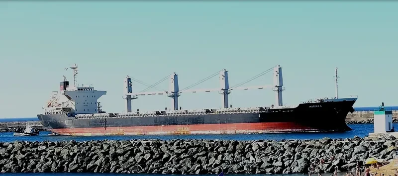 MARINA L Bulk Carrier IMO 9675705 photo 5