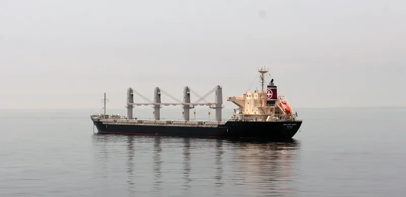 MARINA L Bulk Carrier IMO 9675705 photo 9
