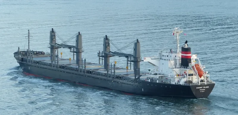 CHERRY ISLAND Bulk Carrier IMO 9675717 photo 6