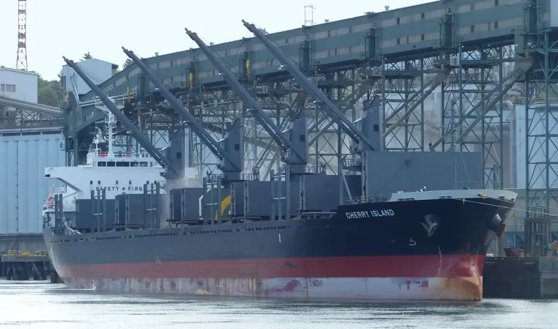 CHERRY ISLAND Bulk Carrier IMO 9675717 photo 7