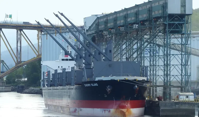 CHERRY ISLAND Bulk Carrier IMO 9675717 photo 8