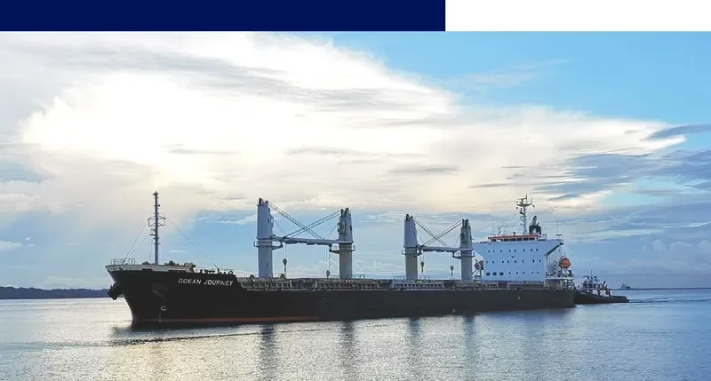 IPSWICH BAY Bulk Carrier IMO 9675729 photo 8