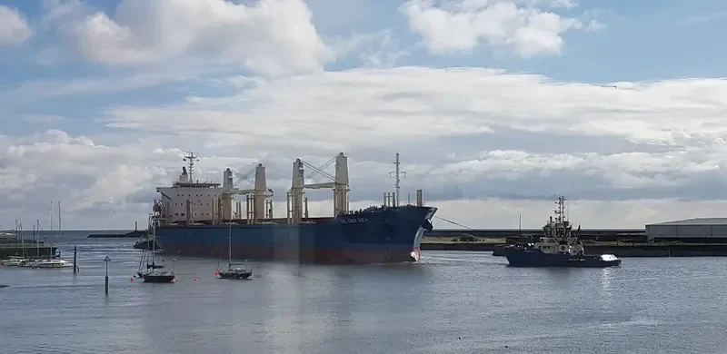 INLAND SEA Bulk Carrier IMO 9675731 photo 8