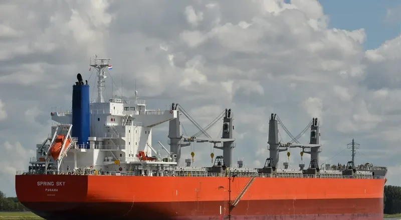 SPRING SKY Bulk Carrier IMO 9675755 photo 6
