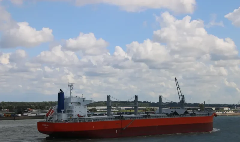 SPRING SKY Bulk Carrier IMO 9675755 photo 9