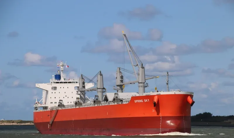 SPRING SKY Bulk Carrier IMO 9675755 photo 10