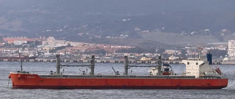 SAILING SKY Bulk Carrier IMO 9675767