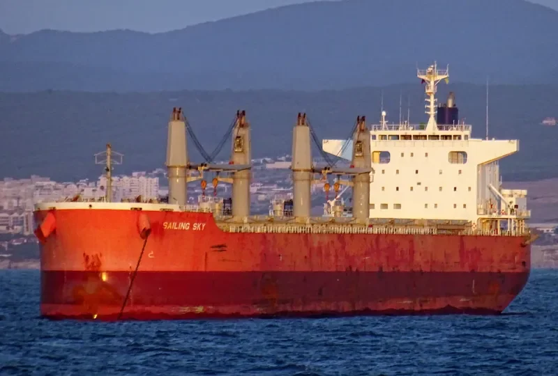 SAILING SKY Bulk Carrier IMO 9675767 photo 2