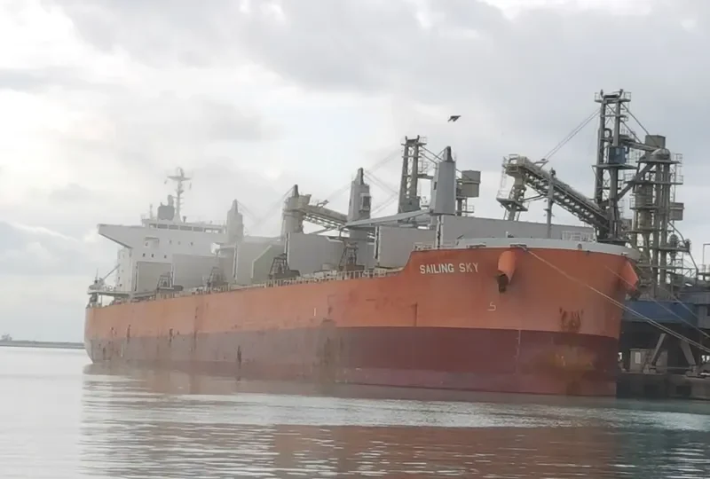 SAILING SKY Bulk Carrier IMO 9675767 photo 3