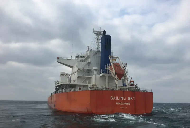 SAILING SKY Bulk Carrier IMO 9675767 photo 5