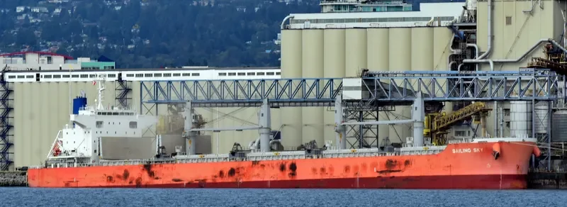 SAILING SKY Bulk Carrier IMO 9675767 photo 6