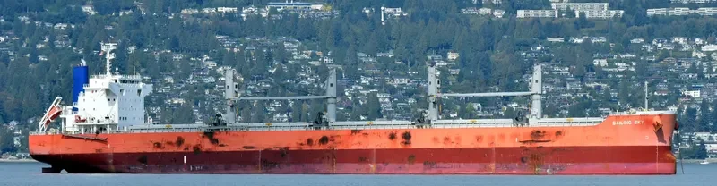 SAILING SKY Bulk Carrier IMO 9675767 photo 8