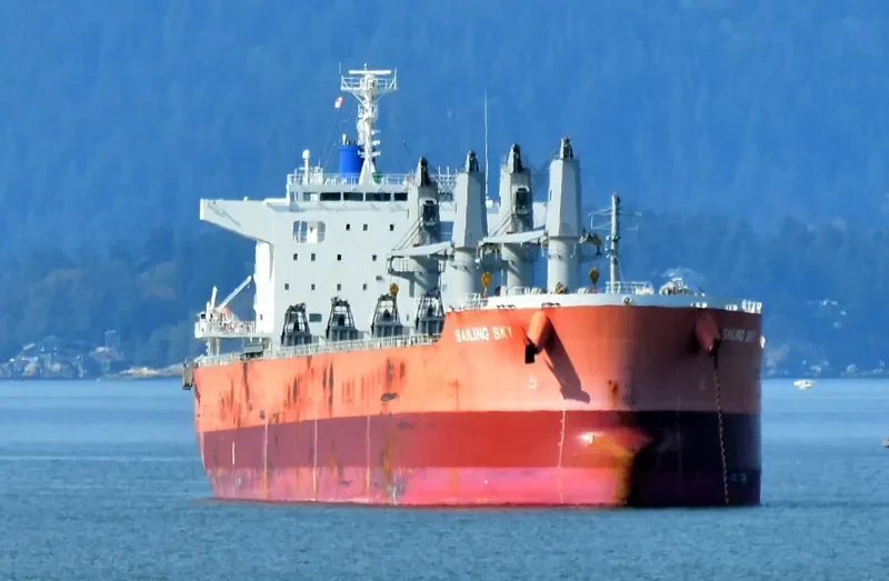 SAILING SKY Bulk Carrier IMO 9675767 photo 9