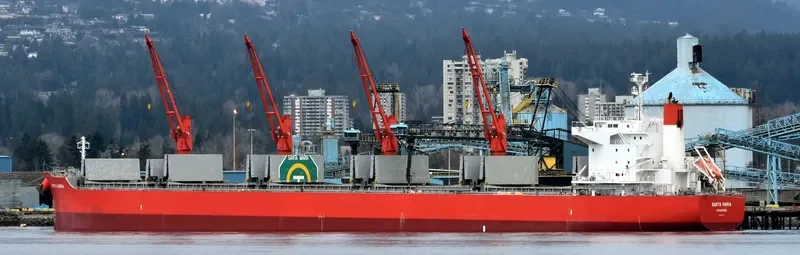 SANTA MARIA Bulk Carrier IMO 9675779 photo 8