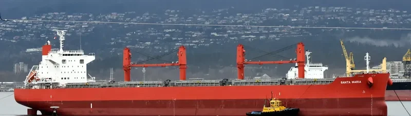 SANTA MARIA Bulk Carrier IMO 9675779 photo 9