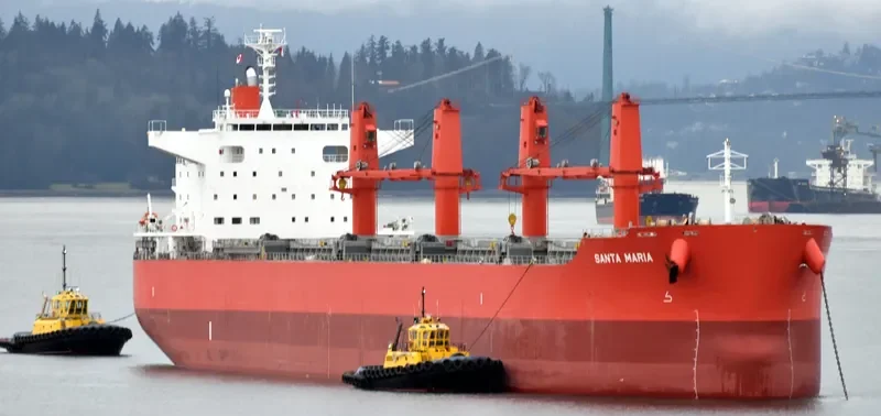 SANTA MARIA Bulk Carrier IMO 9675779 photo 10
