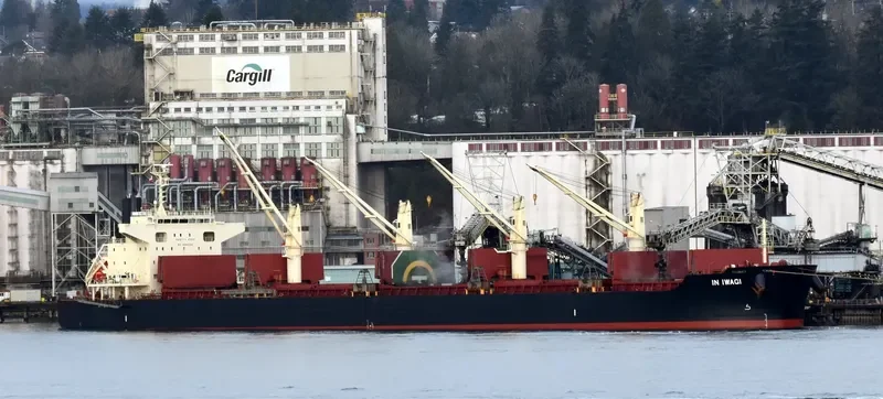 CL BELLE Bulk Carrier IMO 9675781 photo 2