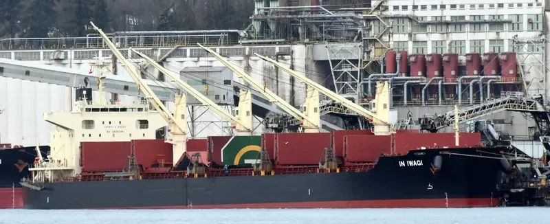 CL BELLE Bulk Carrier IMO 9675781 photo 3