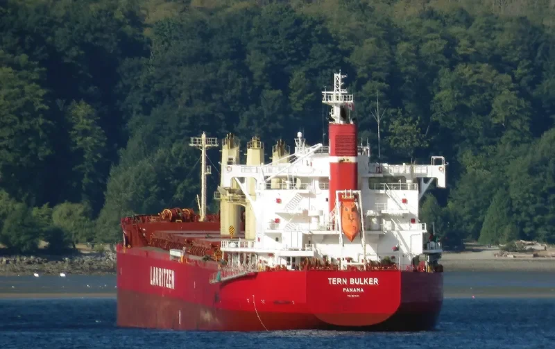 TERN BULKER Bulk Carrier IMO 9676101