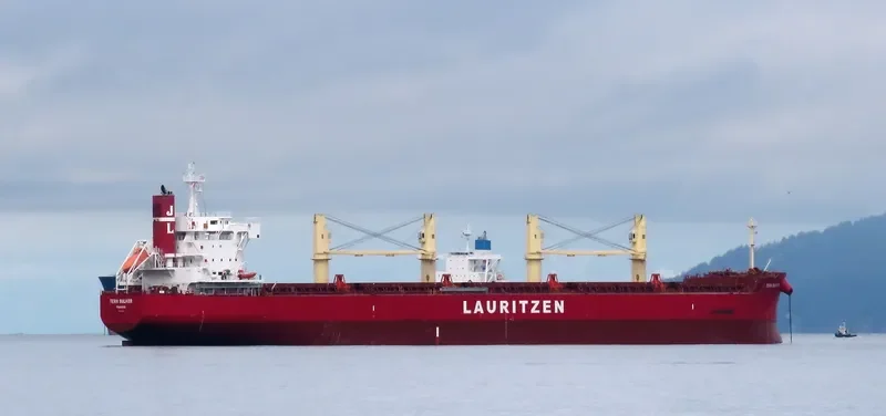 TERN BULKER Bulk Carrier IMO 9676101 photo 2