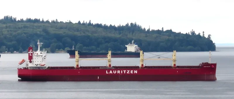 TERN BULKER Bulk Carrier IMO 9676101 photo 3