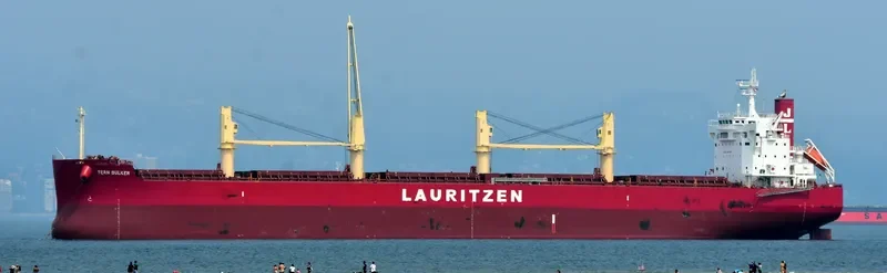 TERN BULKER Bulk Carrier IMO 9676101 photo 4