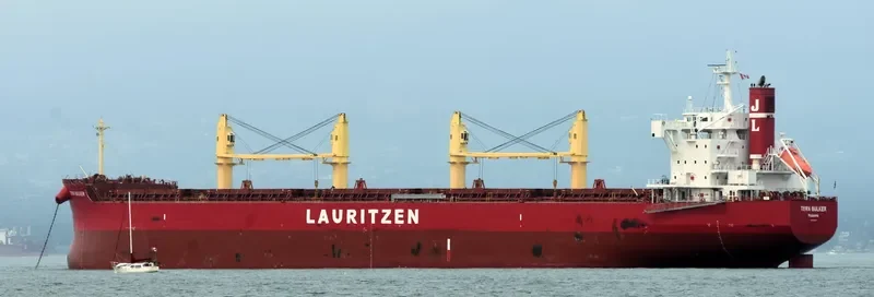TERN BULKER Bulk Carrier IMO 9676101 photo 5