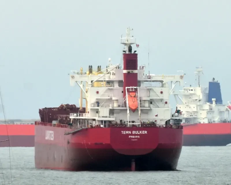 TERN BULKER Bulk Carrier IMO 9676101 photo 6