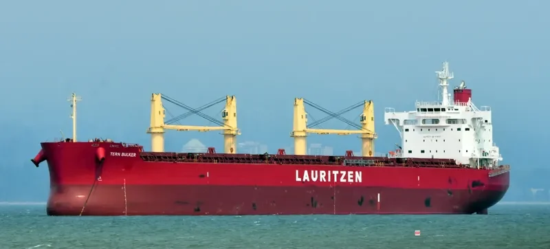 TERN BULKER Bulk Carrier IMO 9676101 photo 8