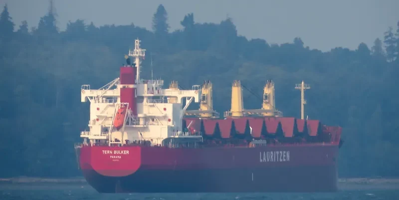TERN BULKER Bulk Carrier IMO 9676101 photo 9