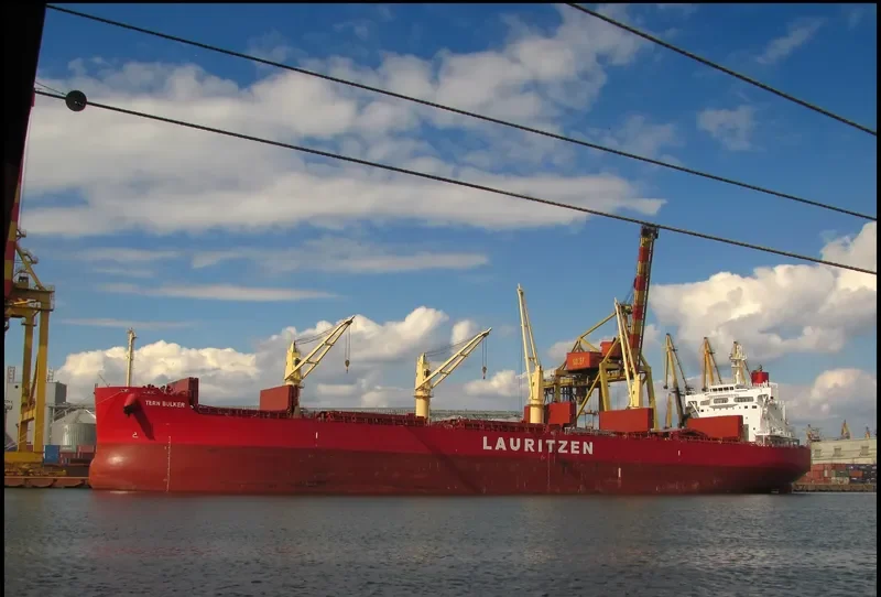 TERN BULKER Bulk Carrier IMO 9676101 photo 10